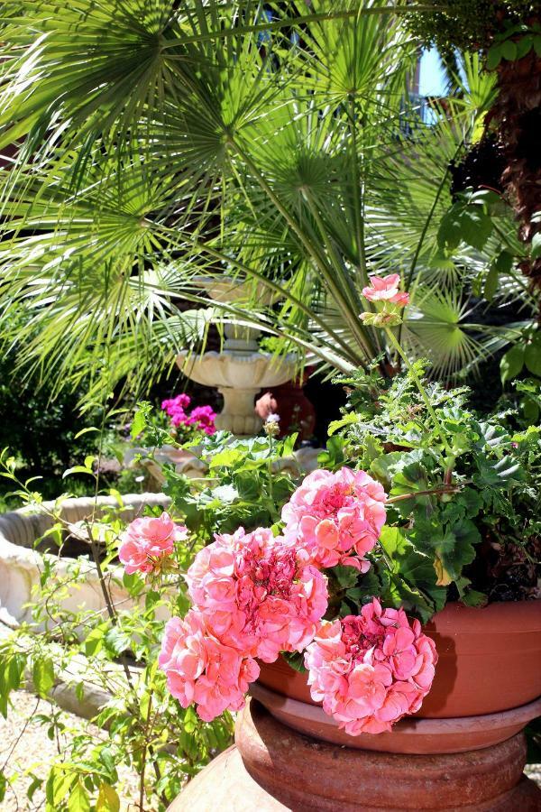 Elbaloves Appartaments Villa Capoliveri (Isola d'Elba) Exterior foto
